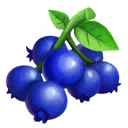 Blueberry