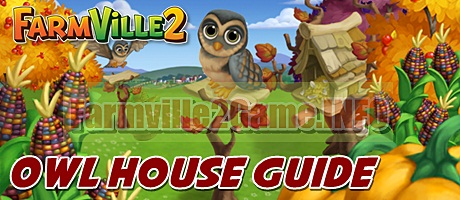 Farmville 2 Owl House Guide