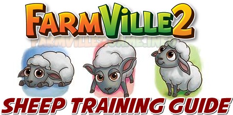 Sheep Training Guide