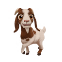 Boer Goat