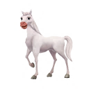 Camarillo Horse
