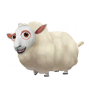 Cheviot Sheep